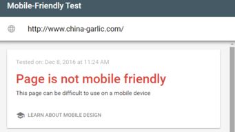 Garlic 农产品 优化前分析 优化前SEO分析报告 www.onepound .cn bbs Powered by Discuz