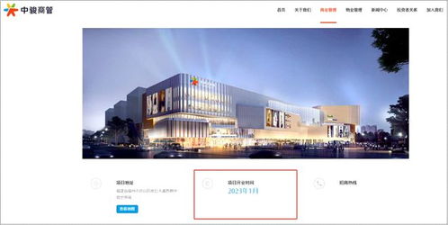债务交叉违约,中骏商管26 的股权易主